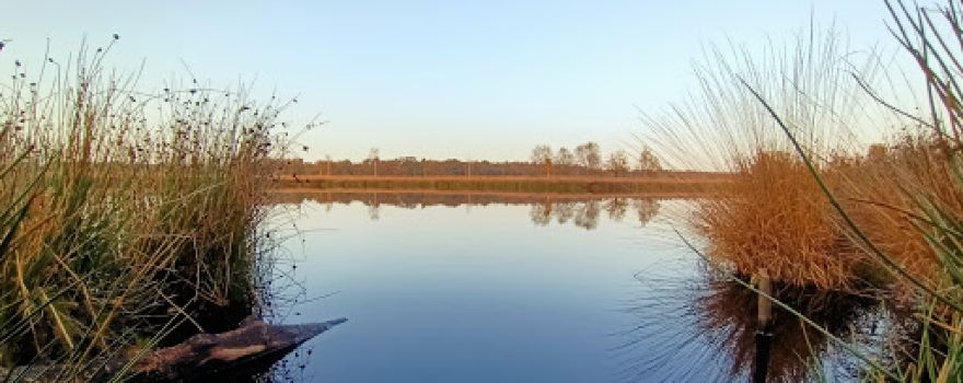 Bungalowpark het Zuiderveld