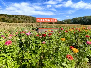 Pumpkinville