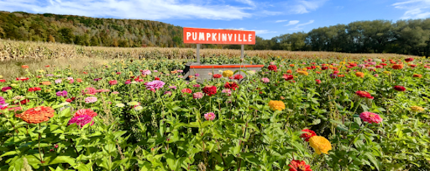 Pumpkinville