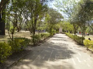 Nyayo Gardens Park