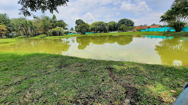 Club Cañasgordas - Comfenalco