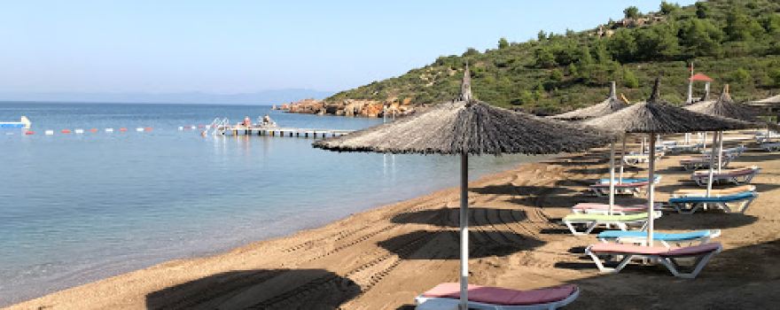 Beach Tilki Koyu