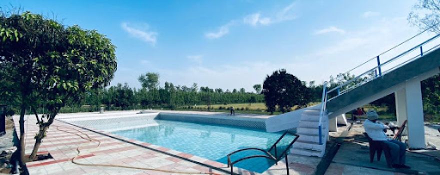 M.S. FARM and POOL SPOT