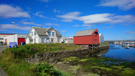 Andenes
