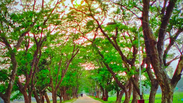 T Junction. Cantonment bus-stand.