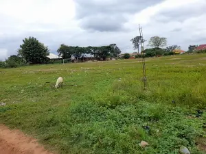 Debiso Town Park