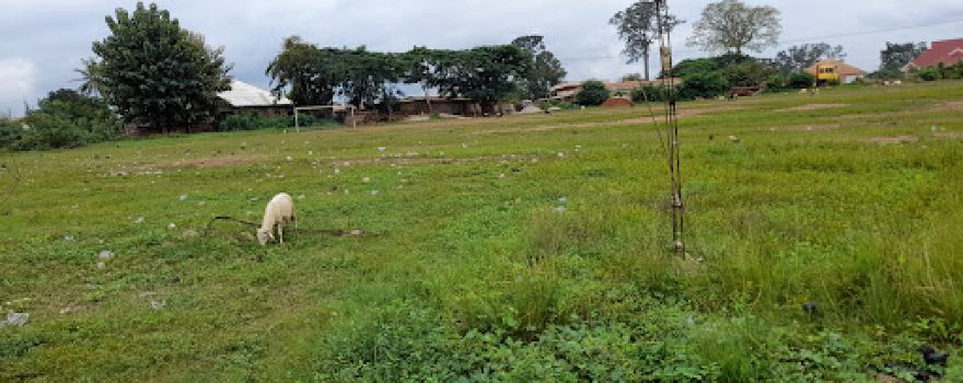 Debiso Town Park