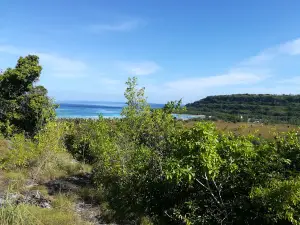 Babar Island