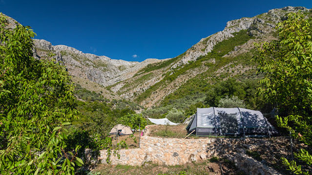 Bartula - My Olive Garden Camp