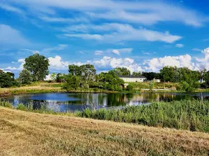 Whetstone Creek Conservation Area.