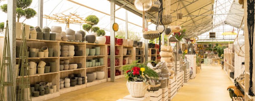 Gergy Flore Jardinerie