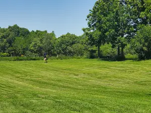 Ripon Dog Park