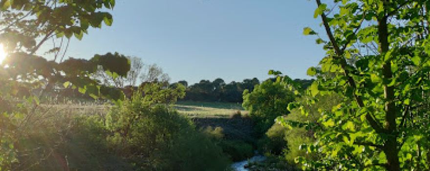 Molino Las Mariquillas