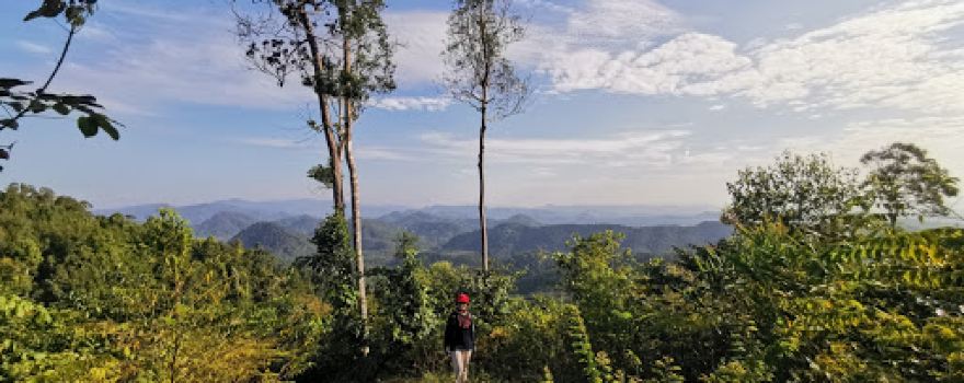 Bukit Asam