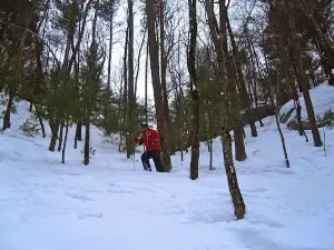 Bruce Mound Winter Sports Area