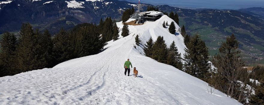 Bergstation Baumgarten