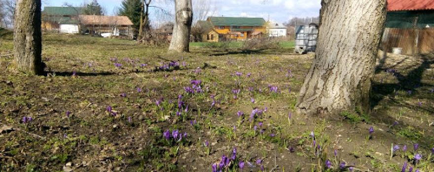 Cămin Cultural