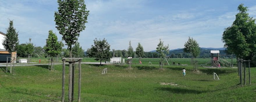 SpVgg Niederalteich e. V