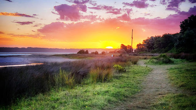 The Lake Circuit cul-de-sac