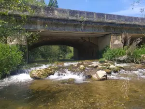 Río Valdavia