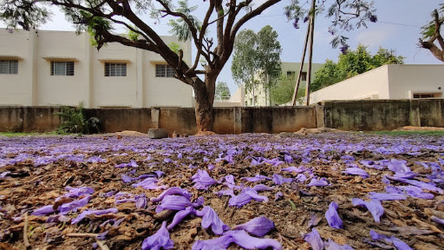 District Stadium HASSAN