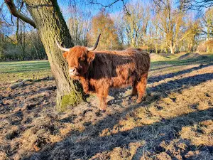 Camping Stadspark