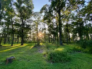 Sand Springs Campground