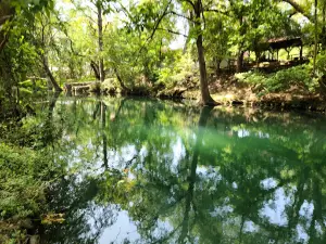 Cypress Creek Nature Preserve