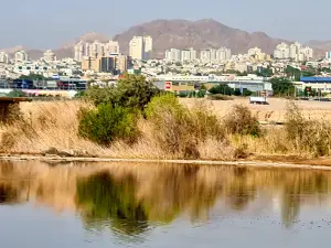Eilat Ornithological Park