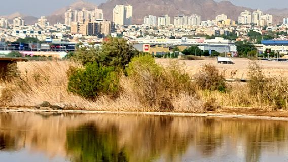 Eilat Ornithological Park