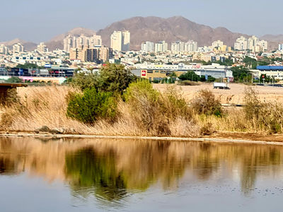 Eilat Ornithological Park
