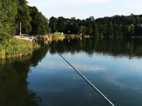 Pod Sosnami. Campsite