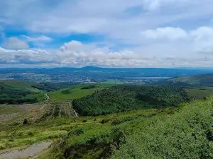 Ballycuggaran Forest Car Park