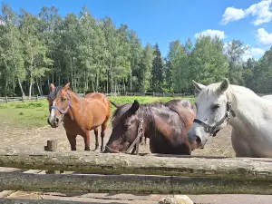 Žemaičių muziejaus „Alka“ Žemaičių kaimo muziejus