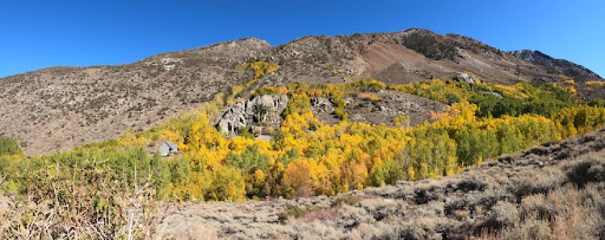 June Lake Campground