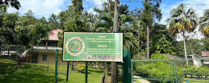 Iyanola Zoo