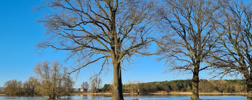 Schöner Strand an der Elbe