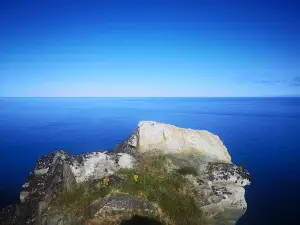 Kinnarodden