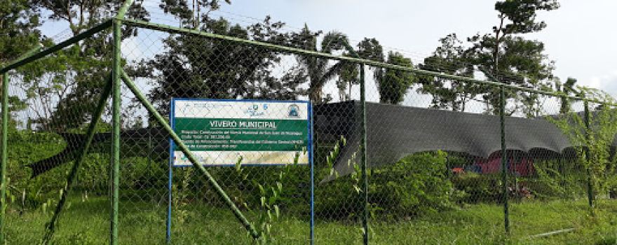 Vivero