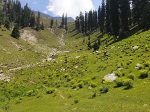 Badgoi Pass