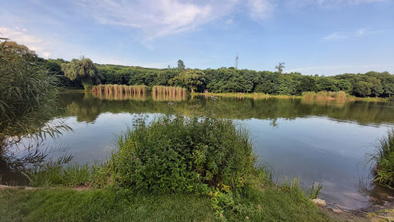 Fótfürdői Kalandpark
