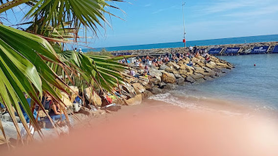 Spiaggia per cani