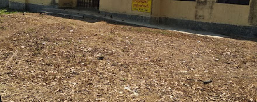 Maa Aakhada Mandir,Gopalpur