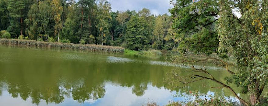 Aussichtsturm Zochauer Heide