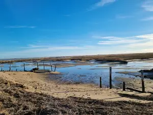 Pilgrims' First Landing Park