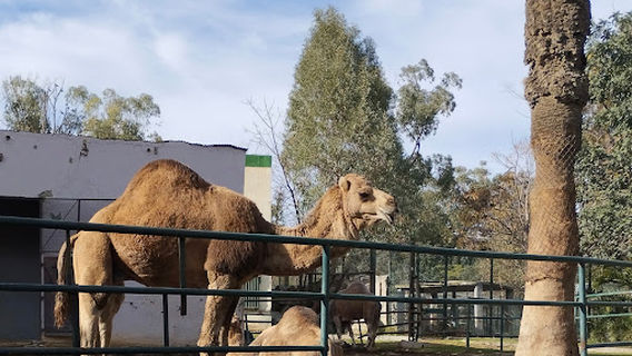 Zoo Tunis