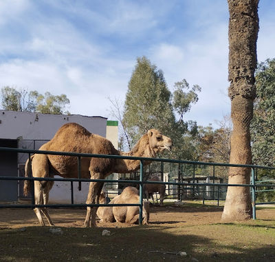 Belvedere Zoo