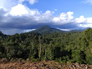 BC Sagonda Lestari