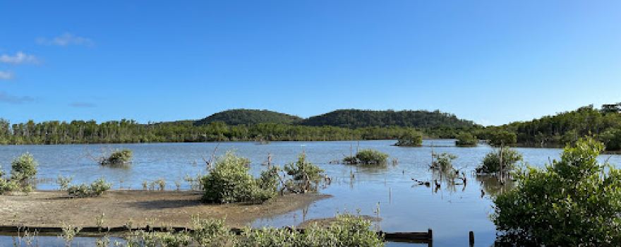 ANP Salinas Fortuna Para La Naturaleza