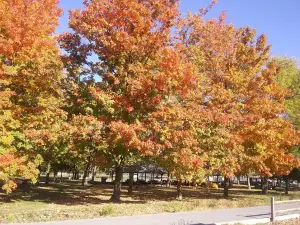 Mifflinburg Community Park & Pool